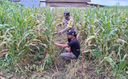 Polres Malang Galakkan Pemanfaatan Potensi Pangan Lokal untuk Perkuat Ketahanan Nasional