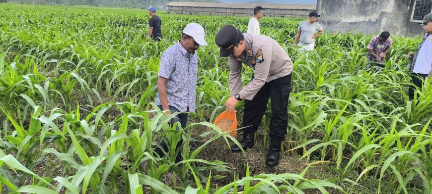 Polres Malang Konsisten Dukung Ketahanan Pangan Lewat Pendampingan dan Pemanfaatan Potensi Desa