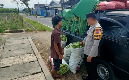 Polres Malang Ikut Jaga Stabilitas Pangan, Bhabinkamtibmas Kawal Petani