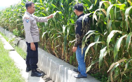 Dari Lahan hingga Panen, Polisi Ikut Jaga Produktivitas Pertanian Warga
