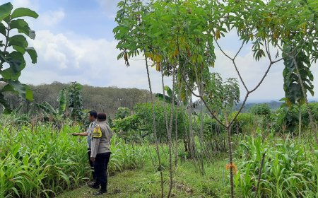 Polres Malang Dukung Petani Kelola Lahan untuk Jaga Pasokan Pangan