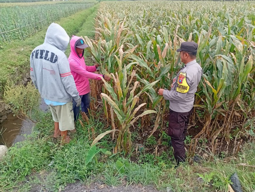 Polres Malang Petakan Potensi Pangan Desa, Dukung Program Asta Cita
